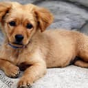 Trino (SQL Query Engine)