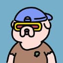 TON Blockchain Analyzer