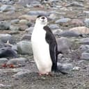 AI Group Markdown to Word MCP Server