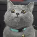 Time and Workdays (Timor API)